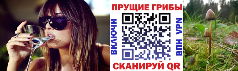 Галлюциногенные грибы Magic Shrooms купить наркоту Апрелевка
